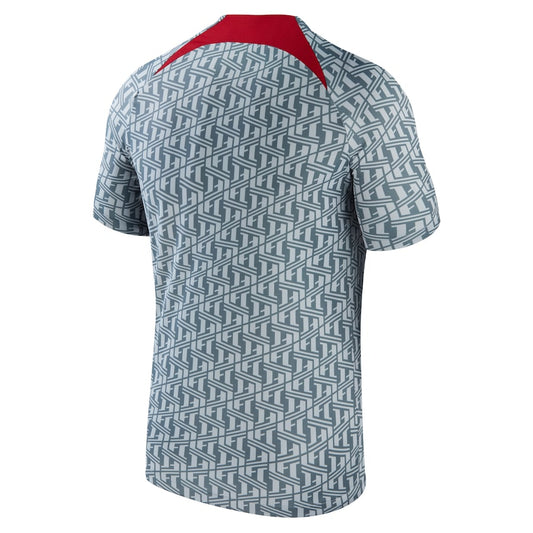 Liverpool Team 2023/24 Pre-Match Performance Top - Gray
