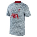 Liverpool Nike 2023/24 Pre-Match Performance Top - Gray