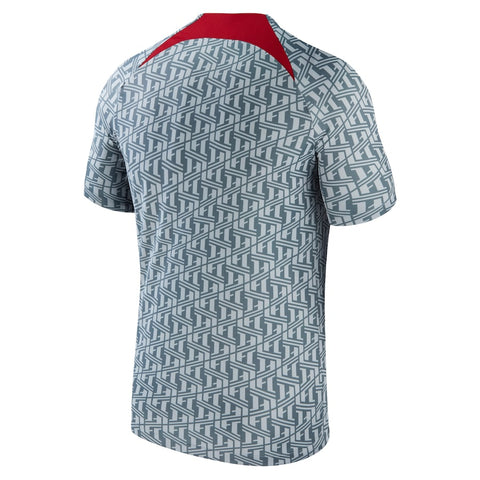 Liverpool Nike 2023/24 Pre-Match Performance Top - Gray