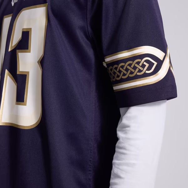 Andrew Van Ginkel Minnesota Vikings Official-Nike 2026 Rivalries Collection Game Jersey - Purple