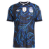 Official-Adidas Argentina National Team 2026 Away Authentic Jersey Black